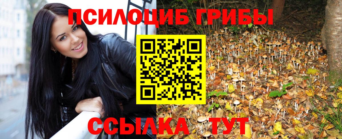 Псилоцибиновые грибы MAGIC MUSHROOMS Северобайкальск