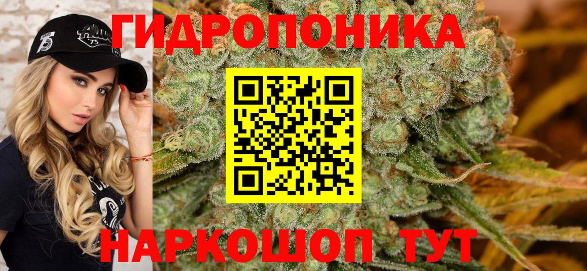 Бошки марихуана ГИДРОПОН  Конопля планчик  Северобайкальск  Вход с VPN 
